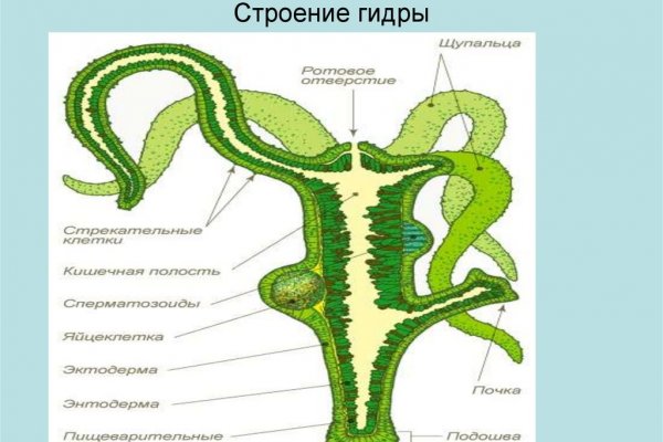 Восстановить аккаунт кракен